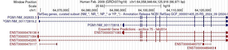 gene isoform structure of PGM1