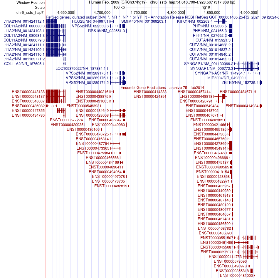 gene isoform structure of PHF1