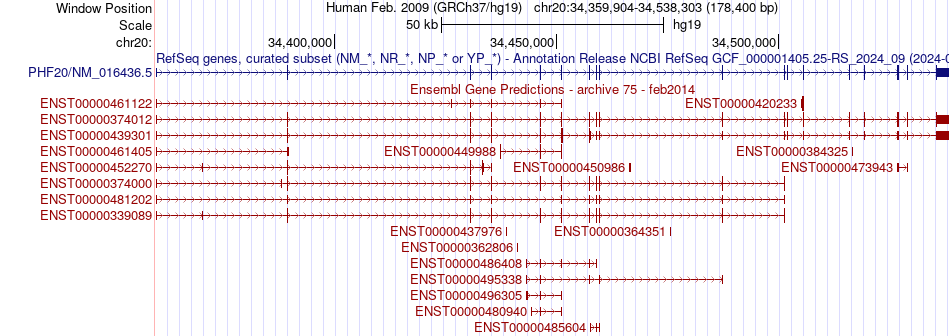 gene isoform structure of PHF20