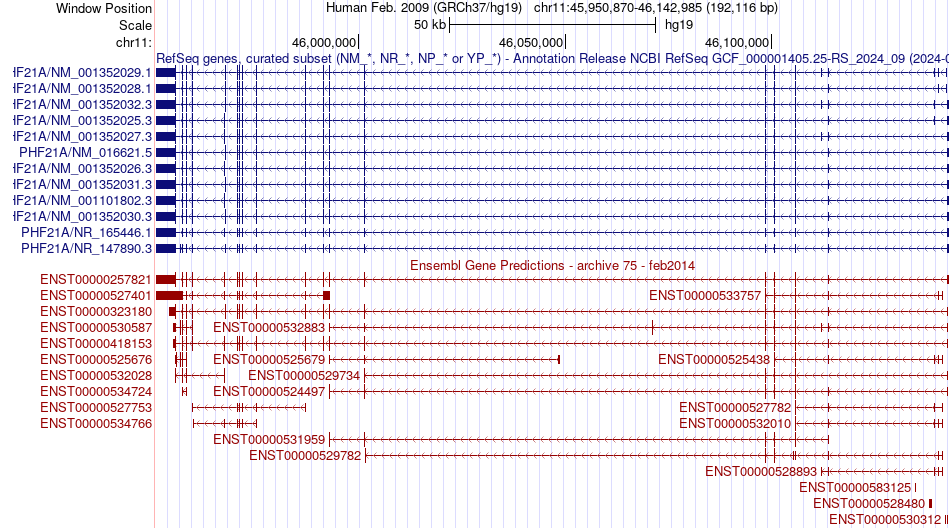 gene isoform structure of PHF21A