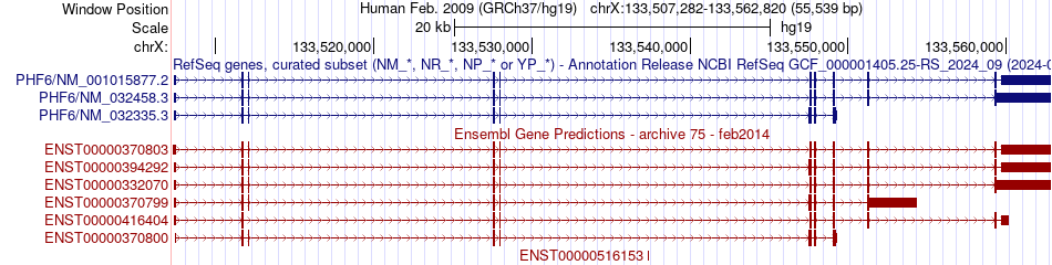 gene isoform structure of PHF6