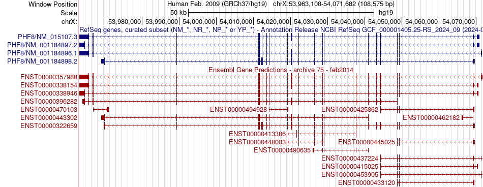 gene isoform structure of PHF8