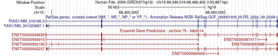 gene isoform structure of PIAS1