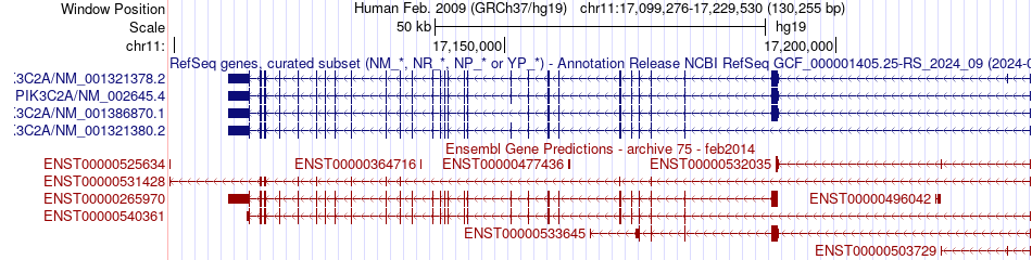 gene isoform structure of PIK3C2A