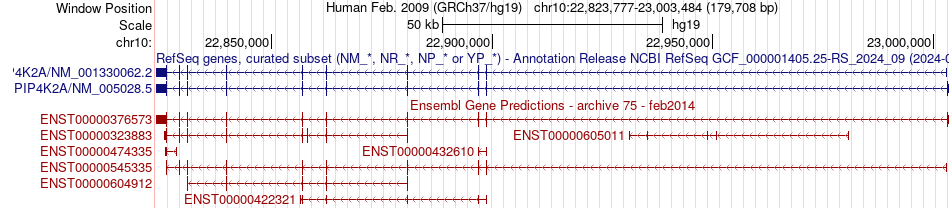 gene isoform structure of PIP4K2A