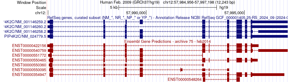 gene isoform structure of PIP4K2C