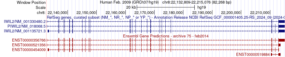 gene isoform structure of PIWIL2