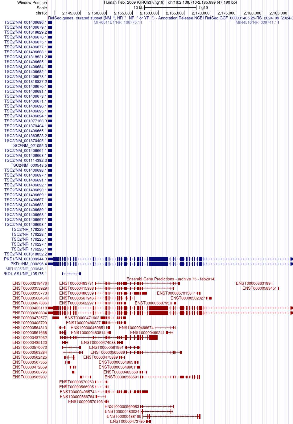 gene isoform structure of PKD1