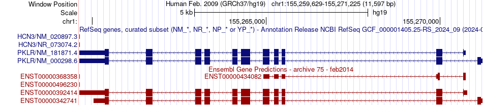 gene isoform structure of PKLR