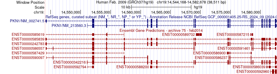 gene isoform structure of PKN1