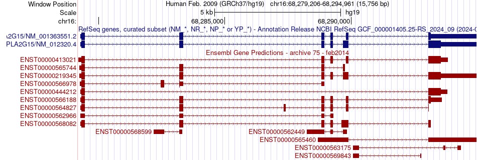 gene isoform structure of PLA2G15