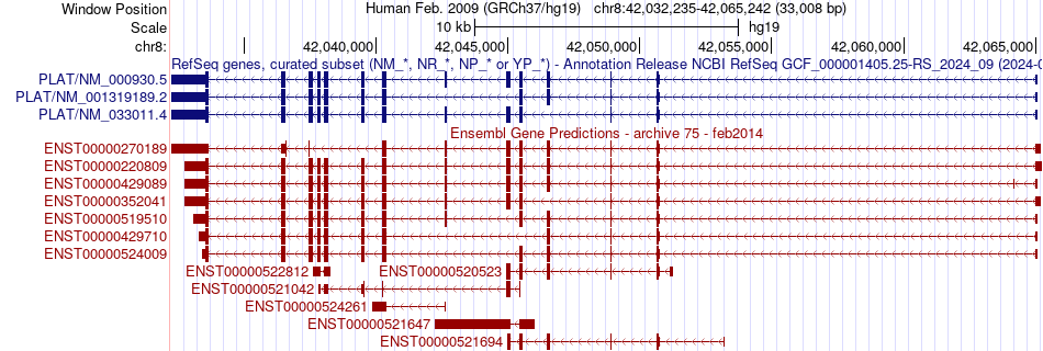 gene isoform structure of PLAT