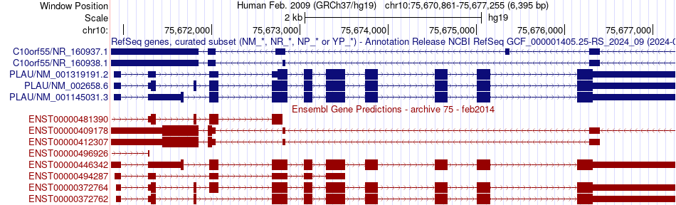 gene isoform structure of PLAU