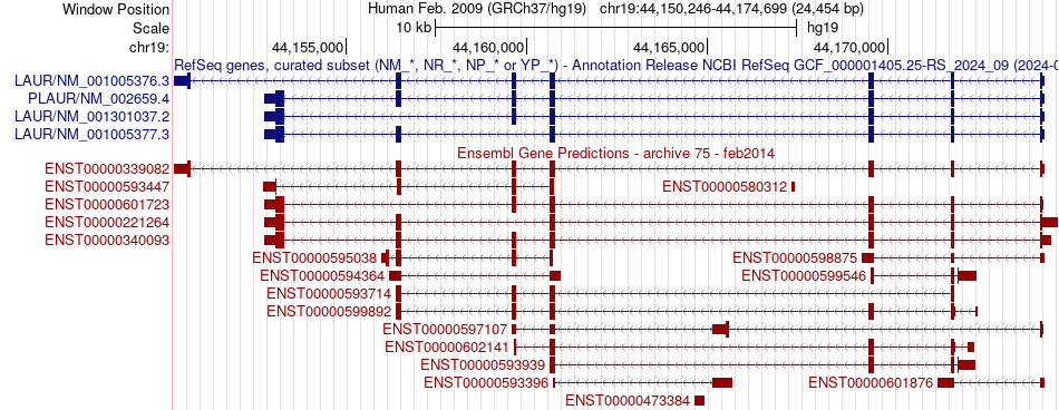 gene isoform structure of PLAUR