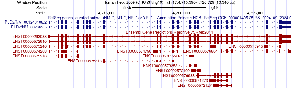gene isoform structure of PLD2