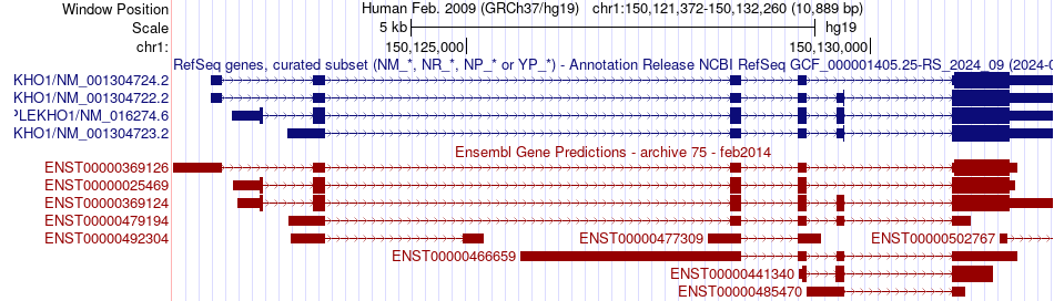 gene isoform structure of PLEKHO1
