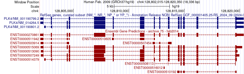 gene isoform structure of PLK4