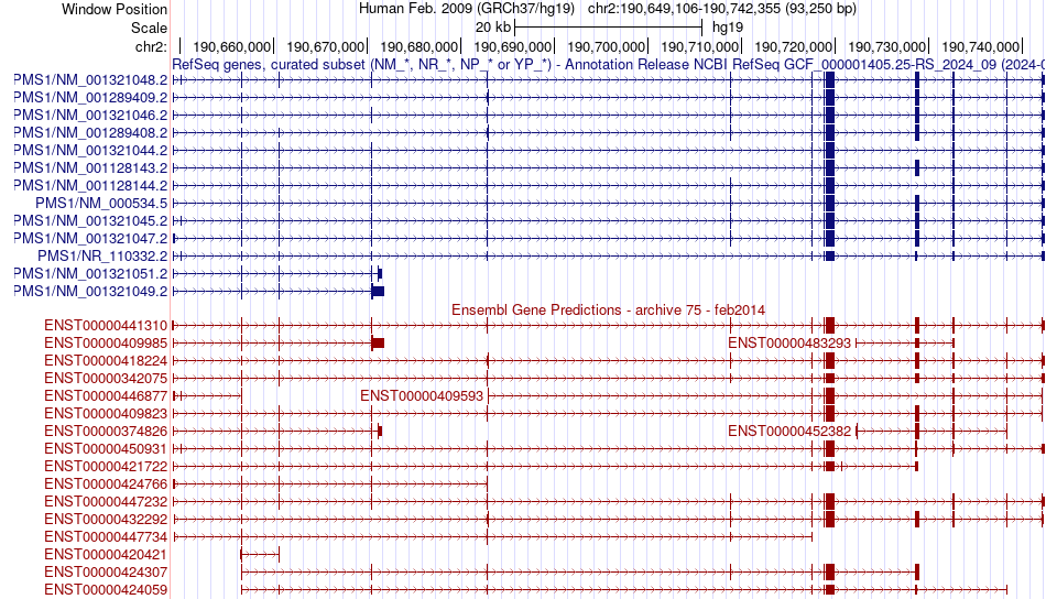 gene isoform structure of PMS1