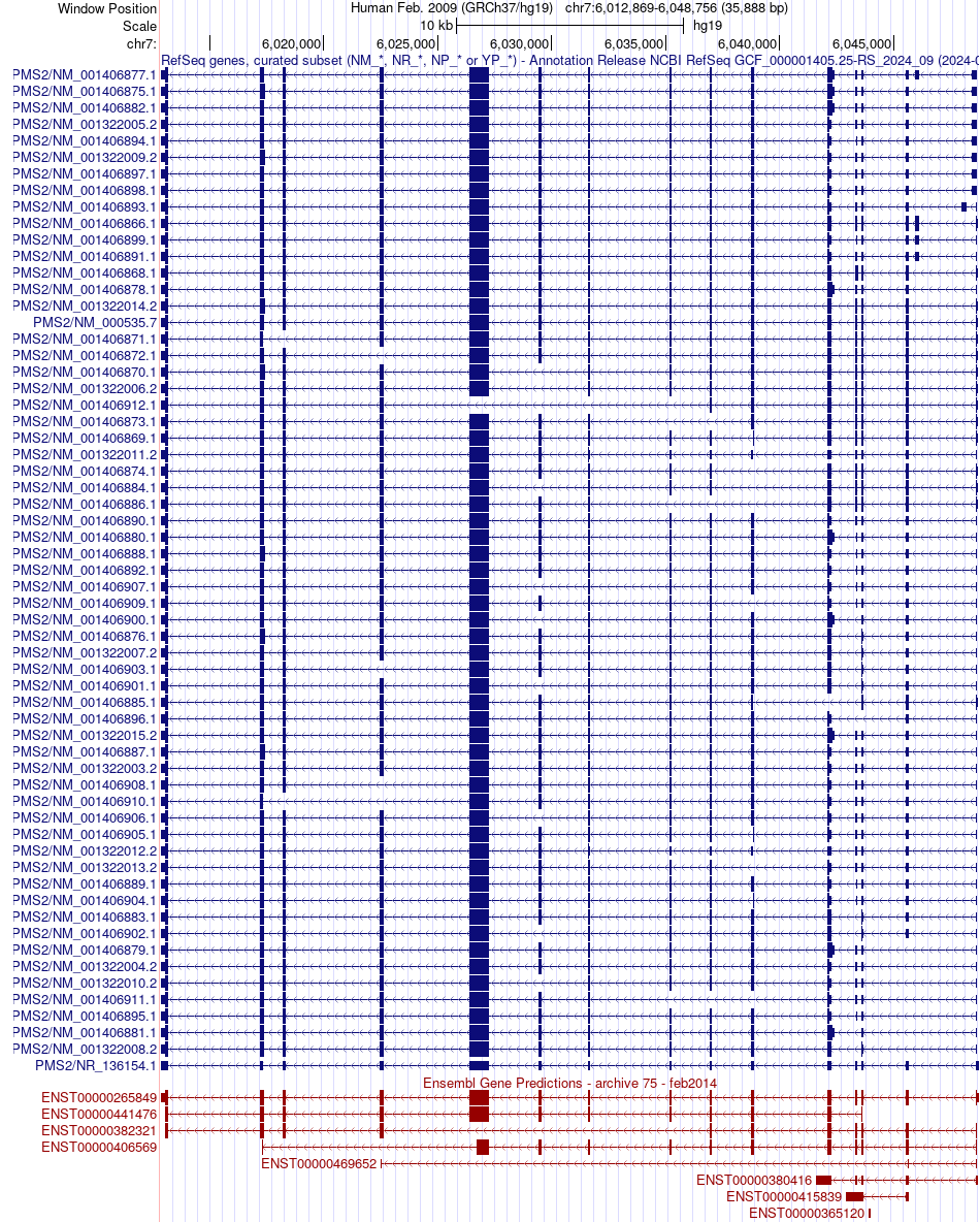 gene isoform structure of PMS2