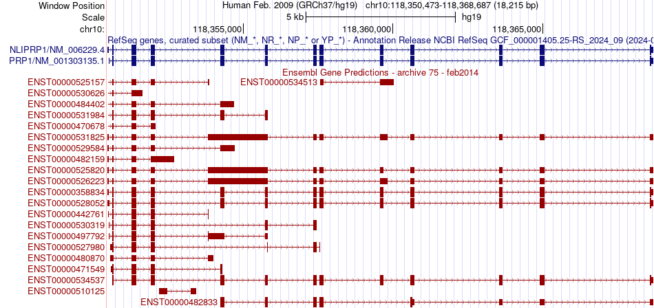 gene isoform structure of PNLIPRP1