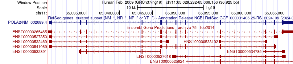 gene isoform structure of POLA2
