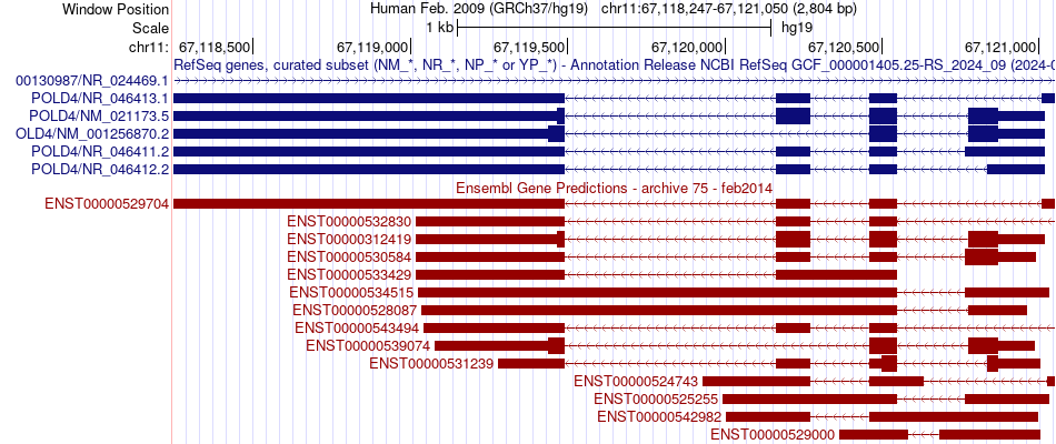 gene isoform structure of POLD4