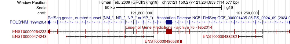 gene isoform structure of POLQ