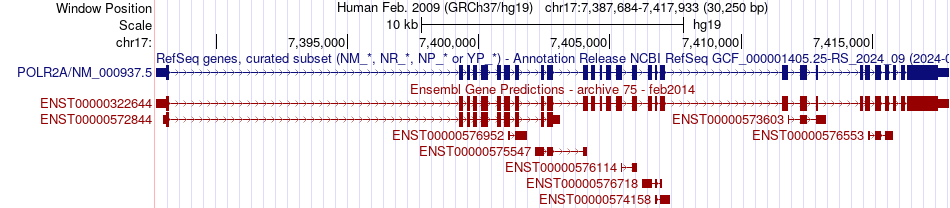 gene isoform structure of POLR2A