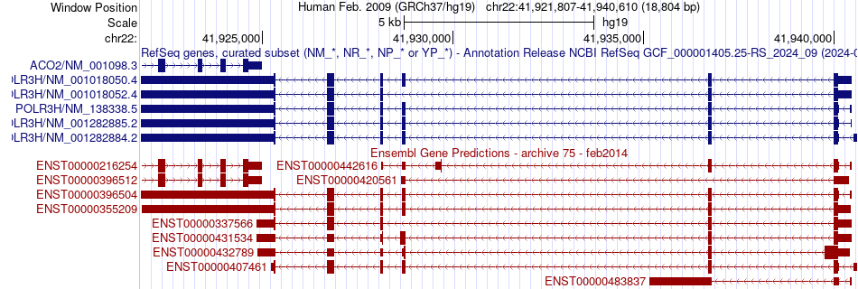 gene isoform structure of POLR3H