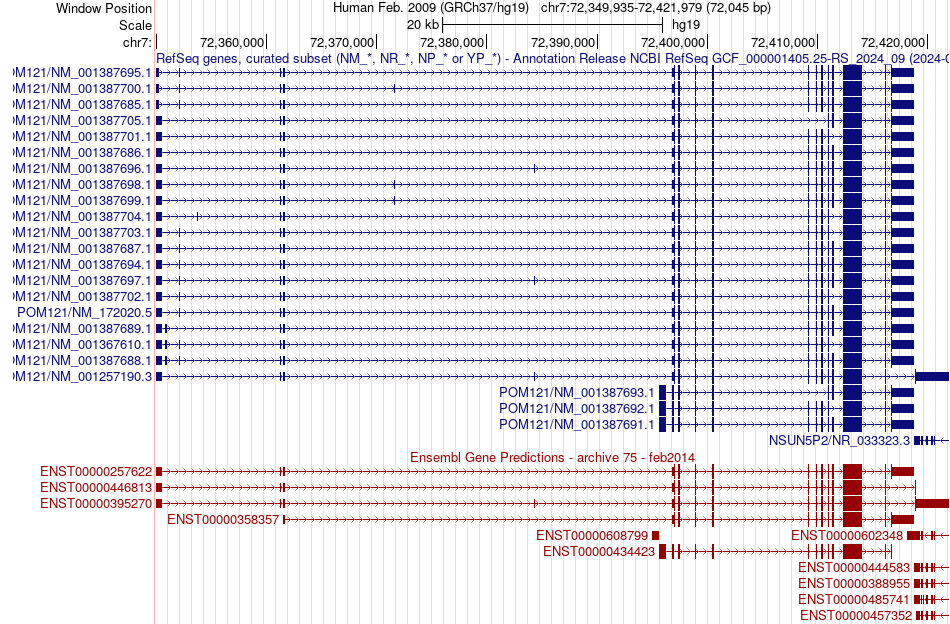 gene isoform structure of POM121