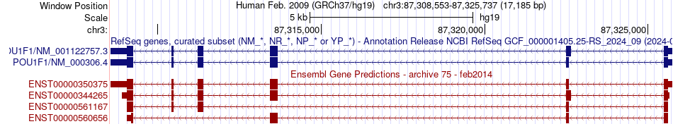 gene isoform structure of POU1F1