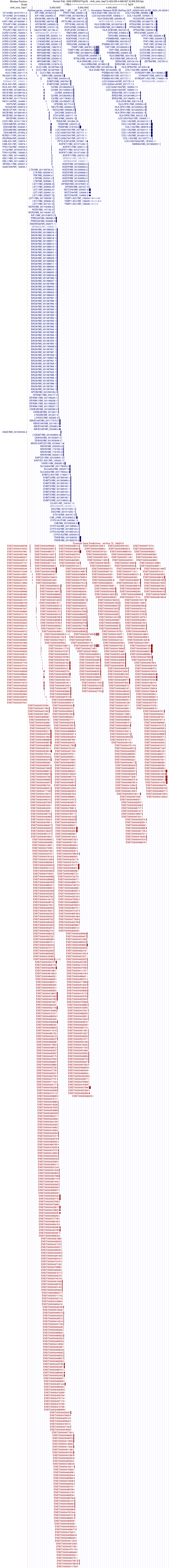 gene isoform structure of POU5F1