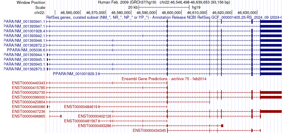 gene isoform structure of PPARA