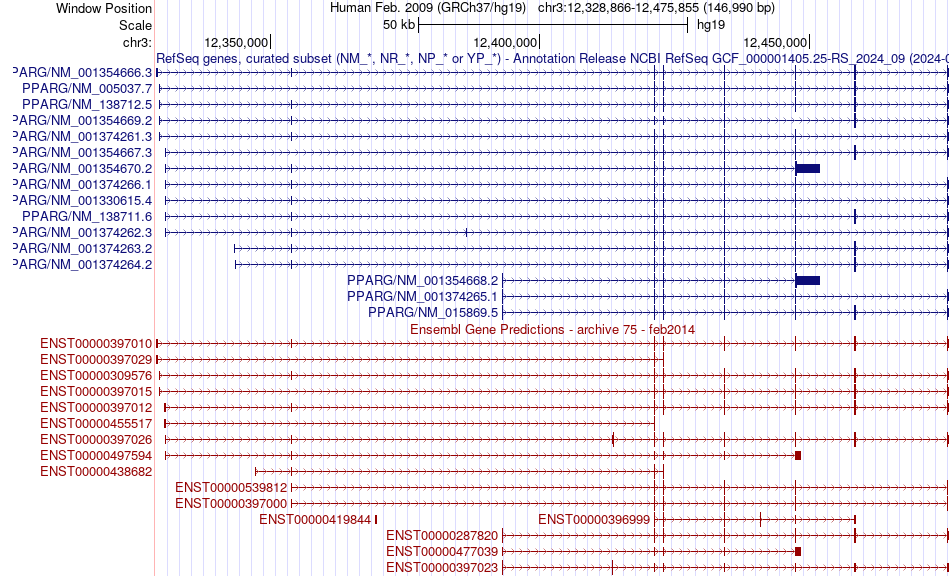 gene isoform structure of PPARG