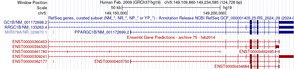 gene isoform structure of PPARGC1B