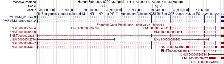 gene isoform structure of PPME1