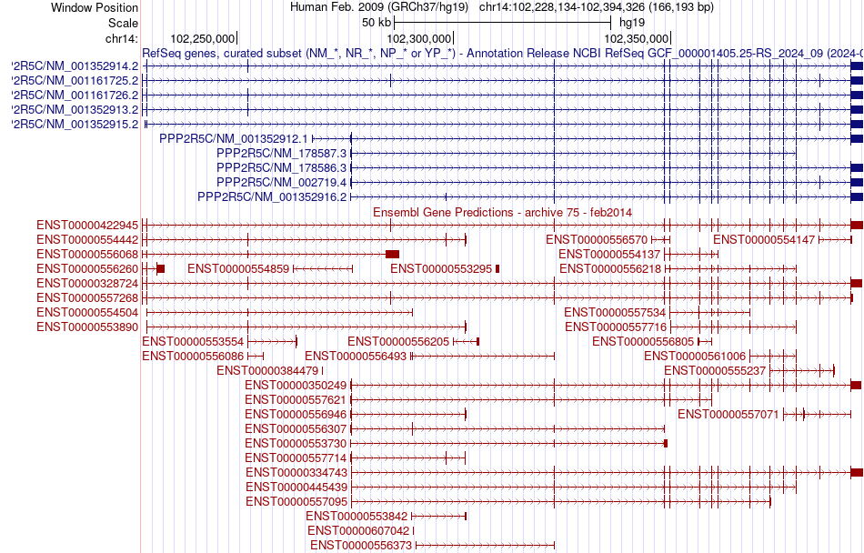 gene isoform structure of PPP2R5C