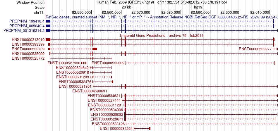 gene isoform structure of PRCP