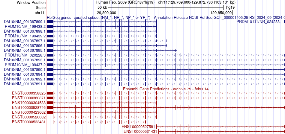 gene isoform structure of PRDM10