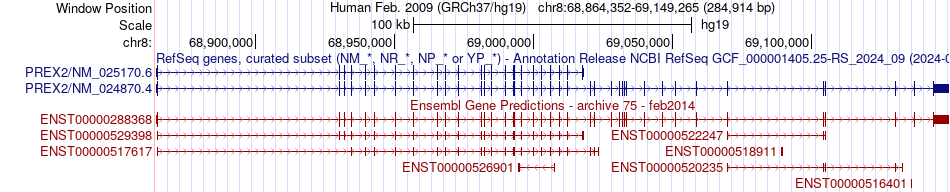 gene isoform structure of PREX2