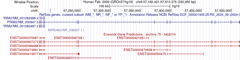 gene isoform structure of PRIM2