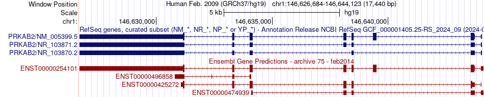 gene isoform structure of PRKAB2
