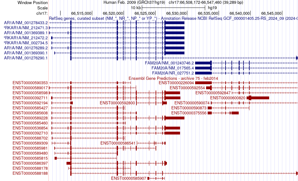 gene isoform structure of PRKAR1A