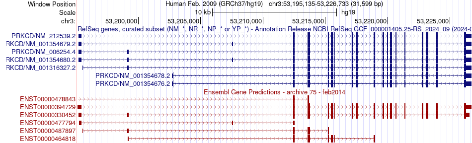 gene isoform structure of PRKCD