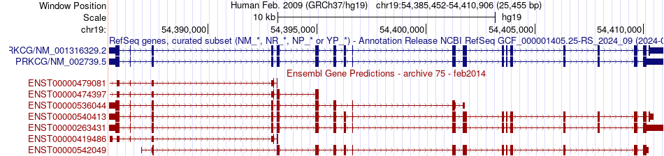gene isoform structure of PRKCG