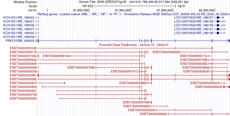 gene isoform structure of PRKCH