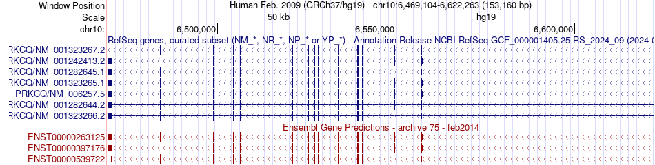 gene isoform structure of PRKCQ