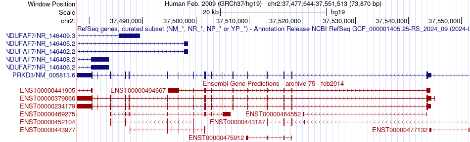 gene isoform structure of PRKD3