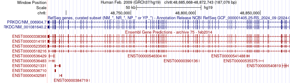 gene isoform structure of PRKDC