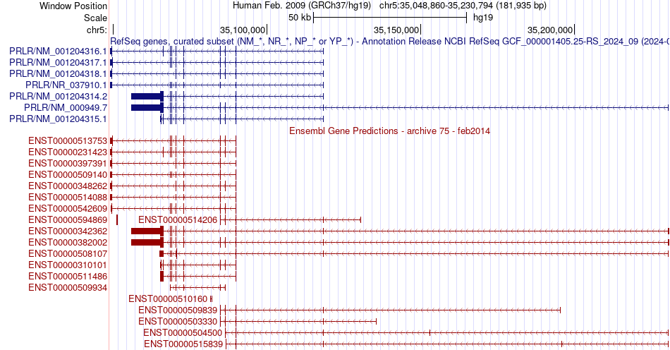 gene isoform structure of PRLR